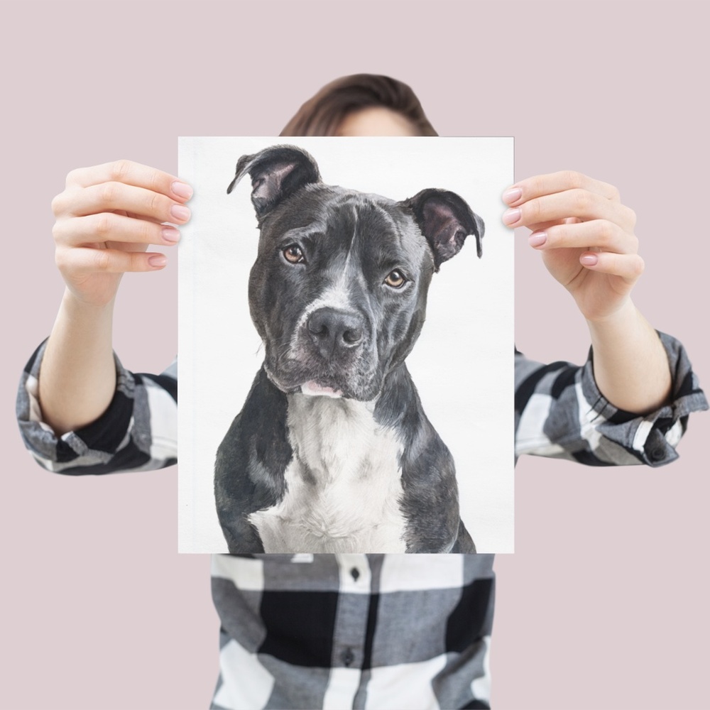 American Pit Bull Terrier Watercolor Wall Art Print Poster - Unframed - Picture 4 of 5